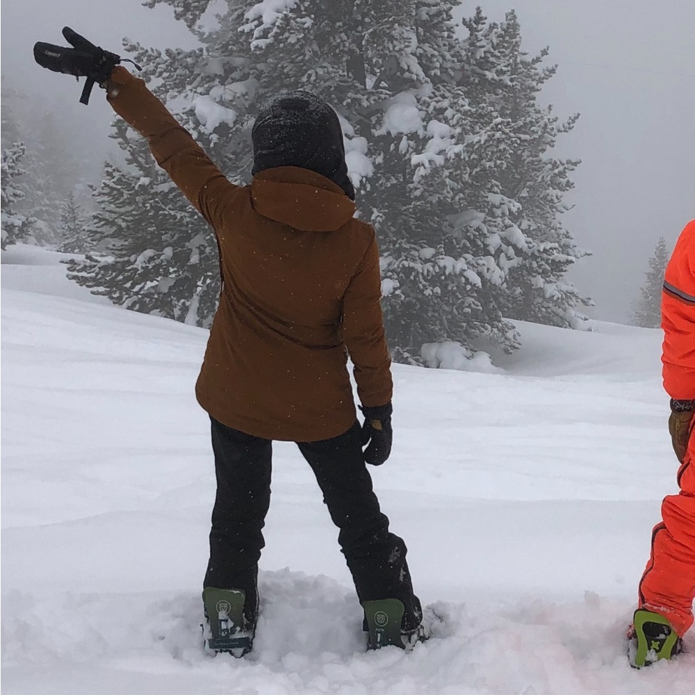 Volcom Shadow Ski Jacket, Mustard - Picture 13 of 14